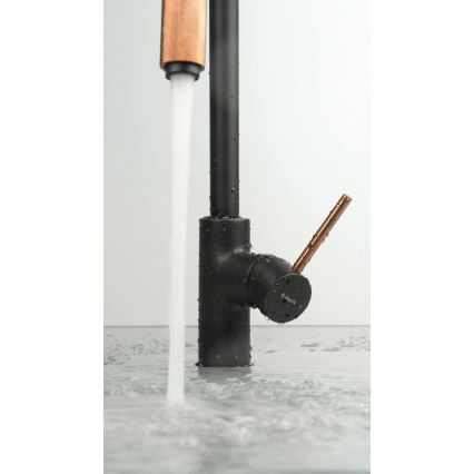 Deante BCA_B64M - Bateria zlewozmywakowa ASTER czarna/mosiężna