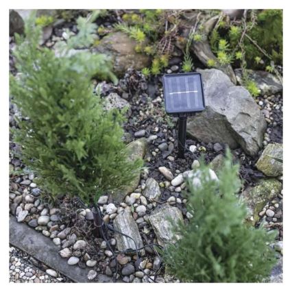 Dekoracja solarna LED 50xLED/3W/1,2V 600 mAh IP44