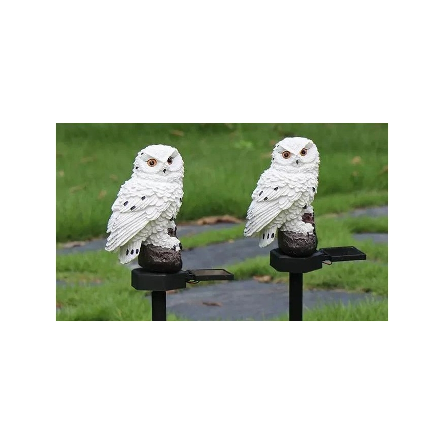 Solarny dekoracyjny lampion LED z czujnikiem 6xLED/1,2V 3000K 40 cm 600 mAh IP44 sowa