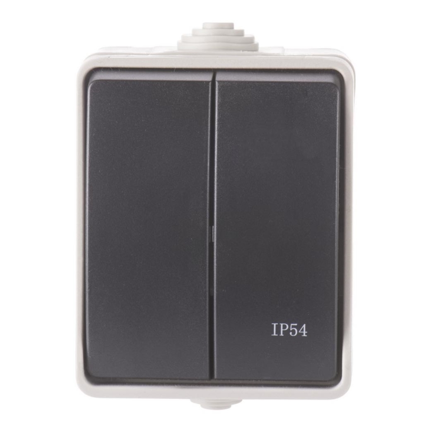 Domowy przełącznik szeregowy 250V/10A IP54