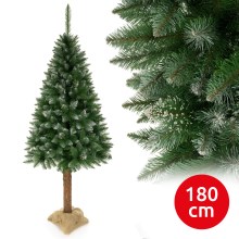 Drzewko bożonarodzeniowe na pniu 180 cm świerk