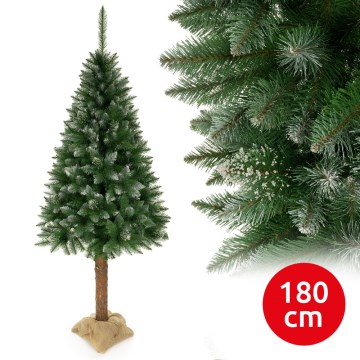 Drzewko bożonarodzeniowe na pniu 180 cm świerk