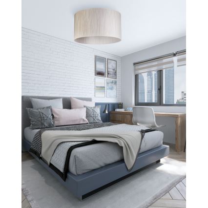 Duolla - Lampa sufitowa ESSEX 1xE27/40W/230V śr. 45 cm srebrna