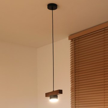 Duolla - Lampa wisząca na lince IRONLINE 1xGX53/3W/230V sosna dąb/czarny