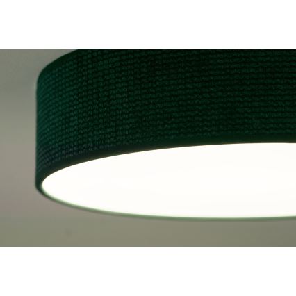 Duolla - LED Plafon CORTINA LED/26W/230V śr. 30 cm 4000K zielony