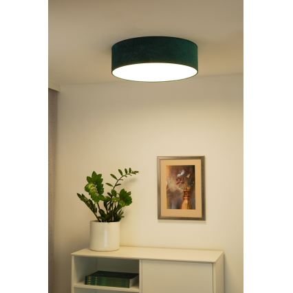 Duolla - LED Plafon CORTINA LED/26W/230V śr. 45 cm 4000K zielony