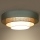 Duolla - LED Plafon LUNETA LED/26W/230V śr. 60 cm 4000K turkusowy/beżowy/kremowy