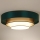 Duolla - LED Plafon LUNETA LED/26W/230V śr. 60 cm 4000K zielony/złoty/biały