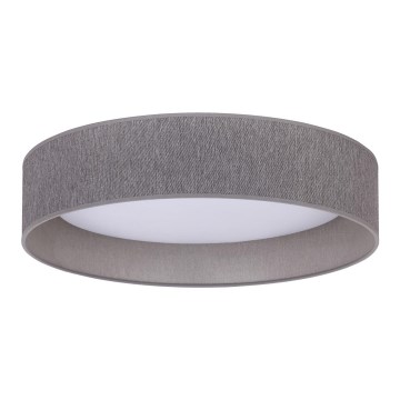 Duolla - LED Plafon ROLLER LED/24W/230V ciemny śr. 45 cm szary