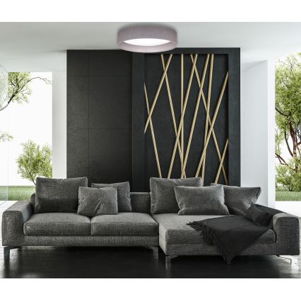 Duolla - LED Plafon ROLLER LED/24W/230V ciemny śr. 45 cm szary