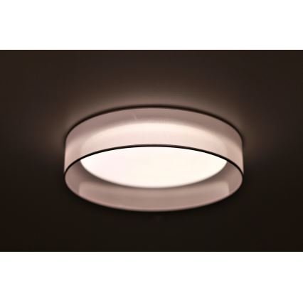 Duolla - LED Plafon ROLLER LED/24W/230V jasny śr. 45 cm szary