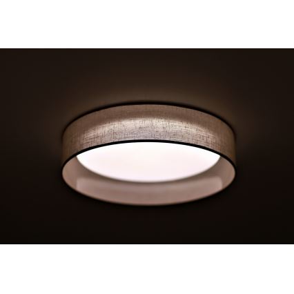 Duolla - LED Plafon ROLLER LED/24W/230V jasny śr. 45 cm szary