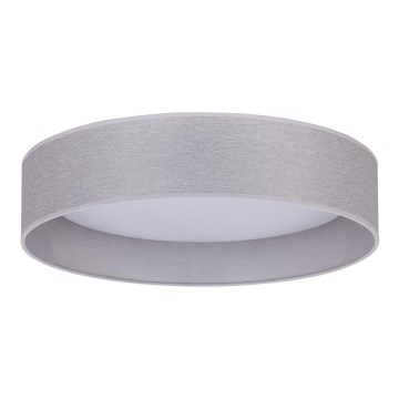 Duolla - LED Plafon ROLLER LED/24W/230V jasny śr. 45 cm szary