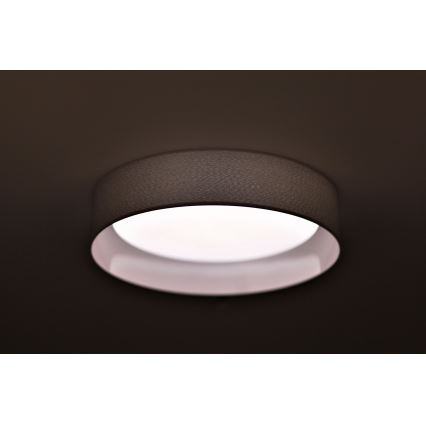 Duolla - LED Plafon ROLLER LED/24W/230V jasny śr. 45 cm szary