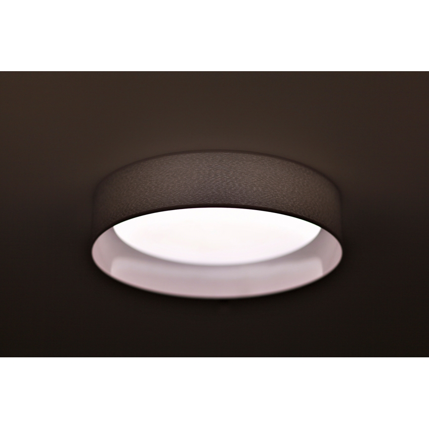 Duolla - LED Plafon ROLLER LED/24W/230V jasny śr. 45 cm szary