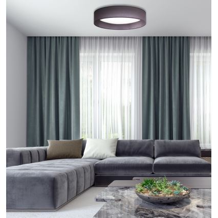 Duolla - LED Plafon ROLLER LED/24W/230V śr. 45 cm antracyt