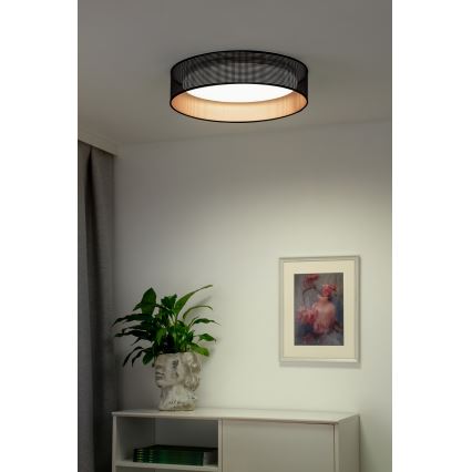 Duolla - LED Plafon ROLLER LED/24W/230V śr. 45 cm czarny/miedziany