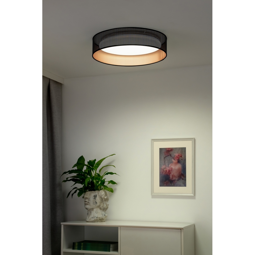 Duolla - LED Plafon ROLLER LED/24W/230V śr. 45 cm czarny/miedziany