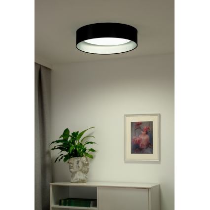Duolla - LED Plafon ROLLER LED/24W/230V śr. 45 cm czarny/srebrny