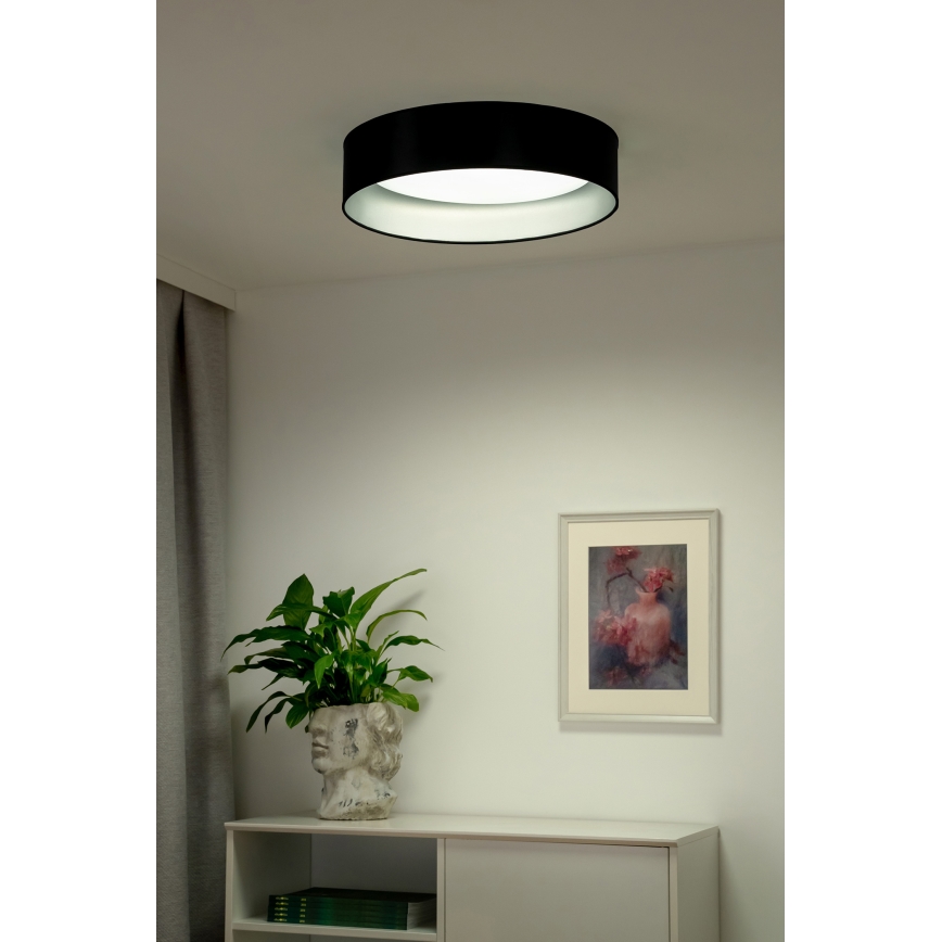 Duolla - LED Plafon ROLLER LED/24W/230V śr. 45 cm czarny/srebrny