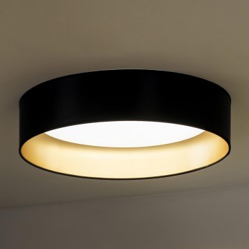 Duolla - LED Plafon ROLLER LED/24W/230V śr. 45 cm czarny/złoty