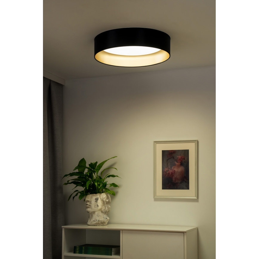 Duolla - LED Plafon ROLLER LED/24W/230V śr. 45 cm czarny/złoty
