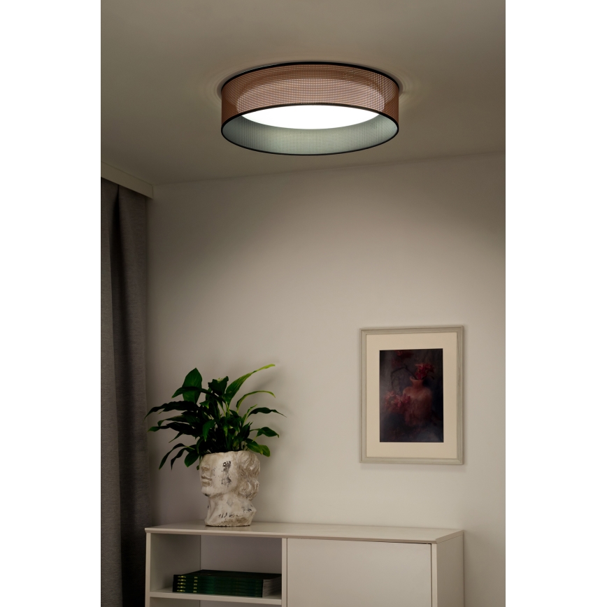 Duolla - LED Plafon ROLLER LED/24W/230V śr. 45 cm miedziany/czarny