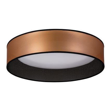 Duolla - LED Plafon ROLLER LED/24W/230V śr. 45 cm miedziany/czarny