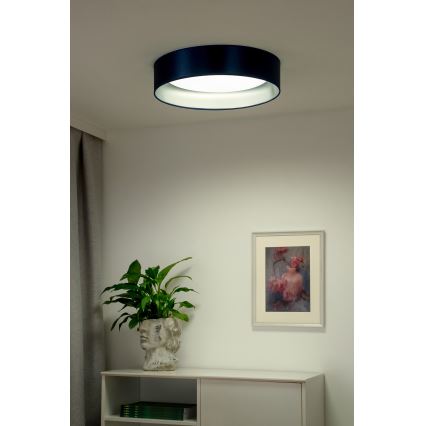 Duolla - LED Plafon ROLLER LED/24W/230V śr. 45 cm niebieski/srebrny