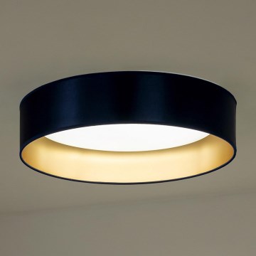 Duolla - LED Plafon ROLLER LED/24W/230V śr. 45 cm niebieski/złoty