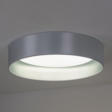 Duolla - LED Plafon ROLLER LED/24W/230V śr. 45 cm srebrny