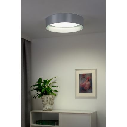 Duolla - LED Plafon ROLLER LED/24W/230V śr. 45 cm srebrny