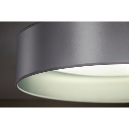 Duolla - LED Plafon ROLLER LED/24W/230V śr. 45 cm srebrny