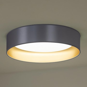 Duolla - LED Plafon ROLLER LED/24W/230V śr. 45 cm srebrny/złoty