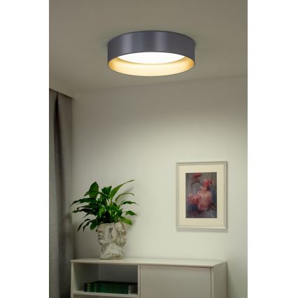Duolla - LED Plafon ROLLER LED/24W/230V śr. 45 cm srebrny/złoty