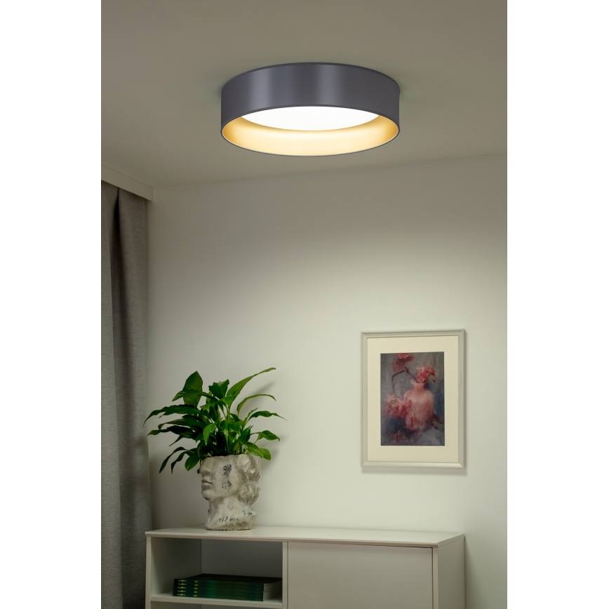 Duolla - LED Plafon ROLLER LED/24W/230V śr. 45 cm srebrny/złoty