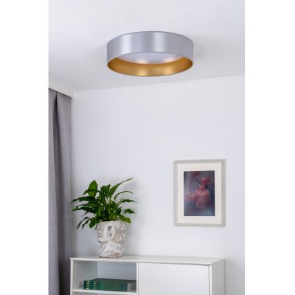 Duolla - LED Plafon ROLLER LED/24W/230V śr. 45 cm srebrny/złoty