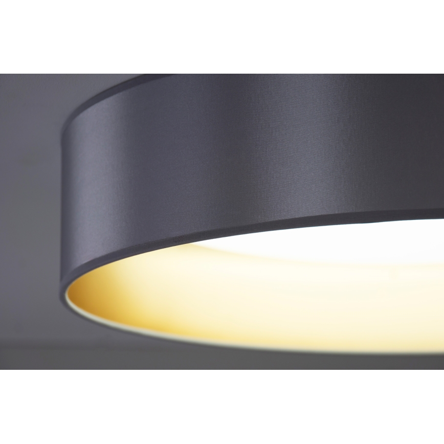 Duolla - LED Plafon ROLLER LED/24W/230V śr. 45 cm srebrny/złoty