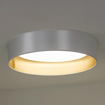 Duolla - LED Plafon ROLLER LED/24W/230V śr. 45 cm srebrny/złoty