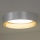 Duolla - LED Plafon ROLLER LED/24W/230V śr. 45 cm srebrny/złoty