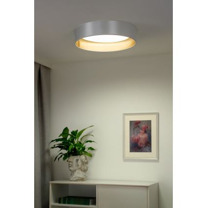 Duolla - LED Plafon ROLLER LED/24W/230V śr. 45 cm srebrny/złoty