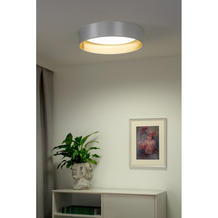 Duolla - LED Plafon ROLLER LED/24W/230V śr. 45 cm srebrny/złoty