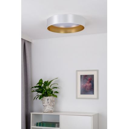 Duolla - LED Plafon ROLLER LED/24W/230V śr. 45 cm srebrny/złoty