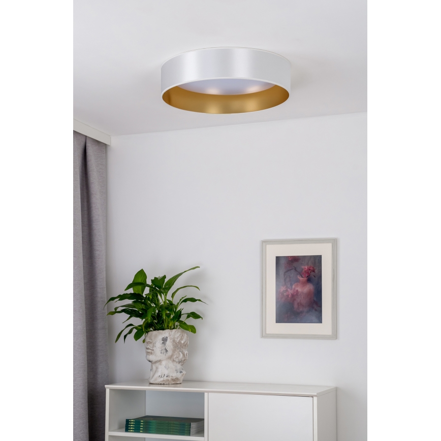Duolla - LED Plafon ROLLER LED/24W/230V śr. 45 cm srebrny/złoty