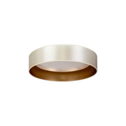 Duolla - LED Plafon ROLLER LED/24W/230V śr. 45 cm srebrny/złoty