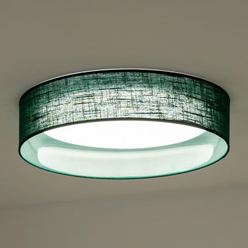 Duolla - LED Plafon ROLLER LED/24W/230V śr. 45 cm zielony