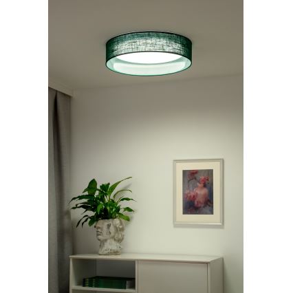 Duolla - LED Plafon ROLLER LED/24W/230V śr. 45 cm zielony