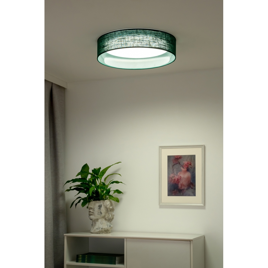 Duolla - LED Plafon ROLLER LED/24W/230V śr. 45 cm zielony