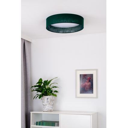Duolla - LED Plafon ROLLER LED/24W/230V śr. 45 cm zielony
