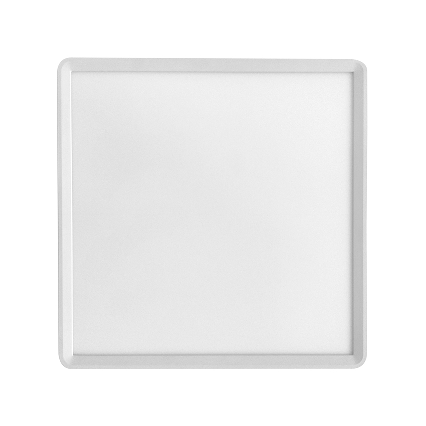 LED Plafon TERY LED/24W/230V 3000/4000/6000K 30x30 cm IP40 biały